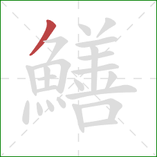 鱔的笔顺第1画：撇