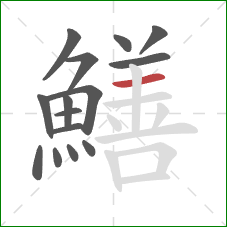 鱔的笔顺第15画：横