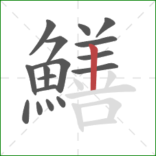 鱔的笔顺第17画：竖