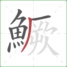 鱖的笔顺第13画:撇 鱖的笔顺第13画:撇