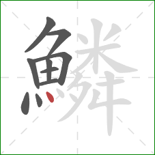 鱗的笔顺第10画:点 鱗的笔顺第10画:点