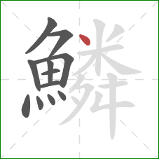 鱗的笔顺第12画:点 鱗的笔顺第12画:点