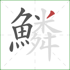 鱗的笔顺第13画:撇 鱗的笔顺第13画:撇