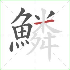 鱗的笔顺第14画:横 鱗的笔顺第14画:横