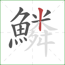 鱗的笔顺第15画:竖 鱗的笔顺第15画:竖