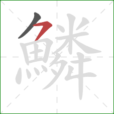 鱗的笔顺第2画:横撇 鱗的笔顺第2画:横撇