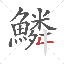 鱗的笔顺第22画:撇折 鱗的笔顺第22画:撇折