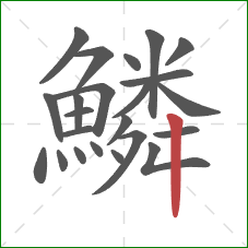 鱗的笔顺第23画:竖 鱗的笔顺第23画:竖