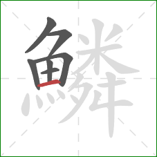 鱗的笔顺第7画:横 鱗的笔顺第7画:横