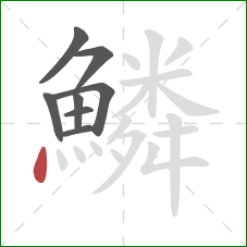 鱗的笔顺第8画:点 鱗的笔顺第8画:点