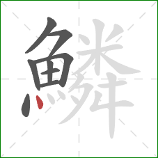 鱗的笔顺第9画:点 鱗的笔顺第9画:点
