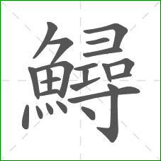 鱘的部首 鱘的部首