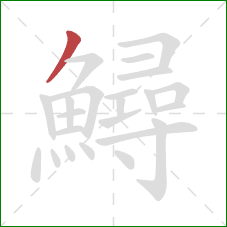 鱘的笔顺第1画:撇 鱘的笔顺第1画:撇