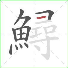 鱘的笔顺第13画:横 鱘的笔顺第13画:横