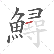 鱘的笔顺第15画:横 鱘的笔顺第15画:横