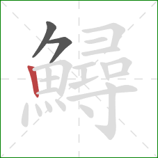 鱘的笔顺第3画:竖 鱘的笔顺第3画:竖