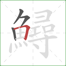 鱘的笔顺第4画:横折 鱘的笔顺第4画:横折