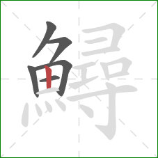 鱘的笔顺第6画:竖 鱘的笔顺第6画:竖