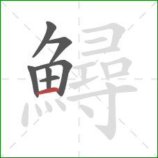 鱘的笔顺第7画:横 鱘的笔顺第7画:横