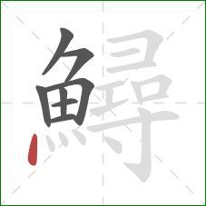 鱘的笔顺第8画:点 鱘的笔顺第8画:点