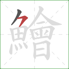 鱠的笔顺第2画:横撇 鱠的笔顺第2画:横撇