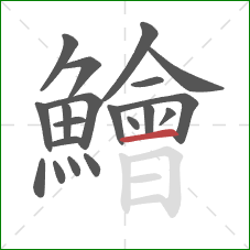 鱠的笔顺第20画:横 鱠的笔顺第20画:横