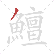 鱣的笔顺第1画：撇