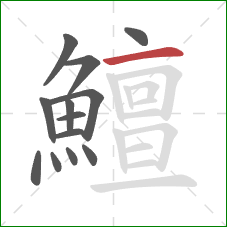 鱣的笔顺第13画：横
