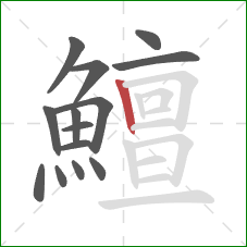 鱣的笔顺第14画：竖