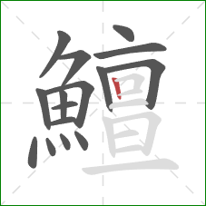 鱣的笔顺第16画：竖