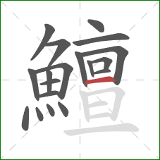 鱣的笔顺第19画：横