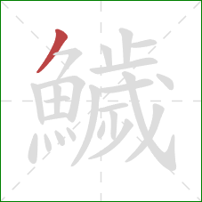 鱥的笔顺第1画：撇