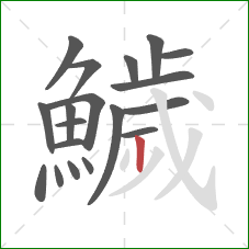 鱥的笔顺第19画：竖