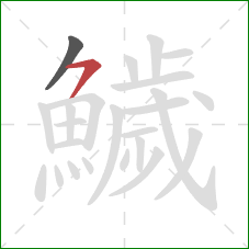 鱥的笔顺第2画：横撇