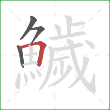 鱥的笔顺第4画：横折
