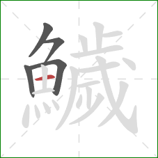 鱥的笔顺第5画：横