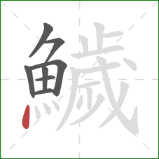 鱥的笔顺第8画：点