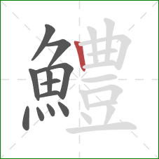 鱧的笔顺第12画:竖 鱧的笔顺第12画:竖