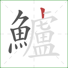鱸的笔顺第12画:竖 鱸的笔顺第12画:竖