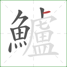 鱸的笔顺第13画:横 鱸的笔顺第13画:横