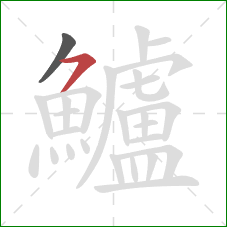 鱸的笔顺第2画:横撇 鱸的笔顺第2画:横撇