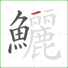 鱺的笔顺第12画:横 鱺的笔顺第12画:横