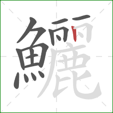 鱺的笔顺第17画:竖 鱺的笔顺第17画:竖