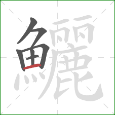 鱺的笔顺第7画:横 鱺的笔顺第7画:横