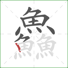 鱻的笔顺第14画:竖 鱻的笔顺第14画:竖