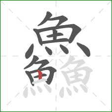 鱻的笔顺第17画:竖 鱻的笔顺第17画:竖