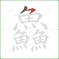 鱻的笔顺第2画:横撇 鱻的笔顺第2画:横撇