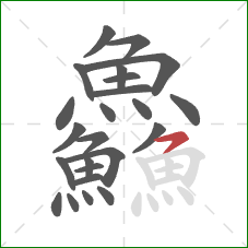 鱻的笔顺第24画:横撇 鱻的笔顺第24画:横撇
