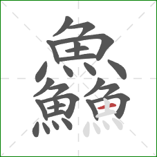 鱻的笔顺第27画:横 鱻的笔顺第27画:横