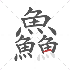 鱻的笔顺第29画:横 鱻的笔顺第29画:横